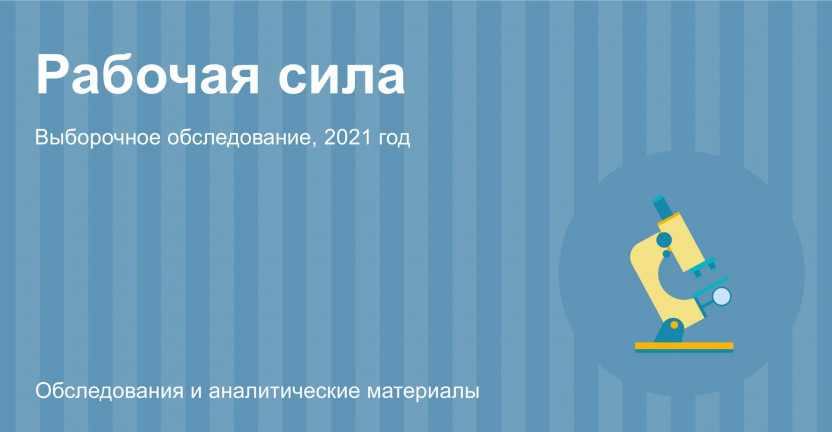 Иркутскстат  подвел  итоги  выборочного обследования  рабочей  силы  за  2021  год